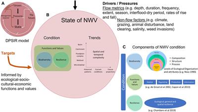 Rethinking Condition: Measuring and Evaluating Wetland Vegetation Responses to Water Management